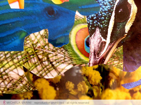 Da ogni piuma una mucca Michela Varini