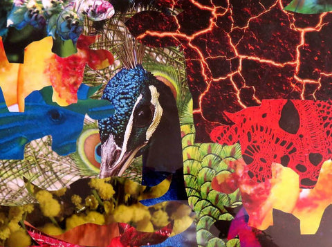 Da ogni piuma una mucca Michela Varini