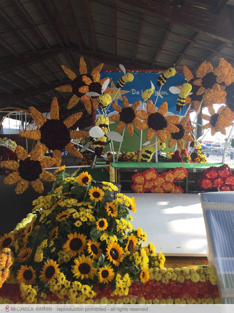 Carro della Società cooperativa Migros Neuchâtel-Friburgo Michela Varini