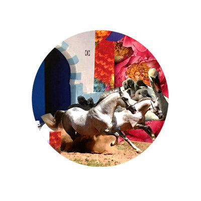 esposizioni personali