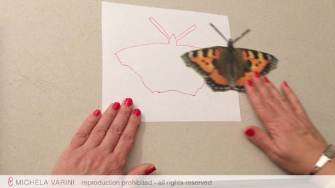 2018 - video “Mise à nu” Michela Varini