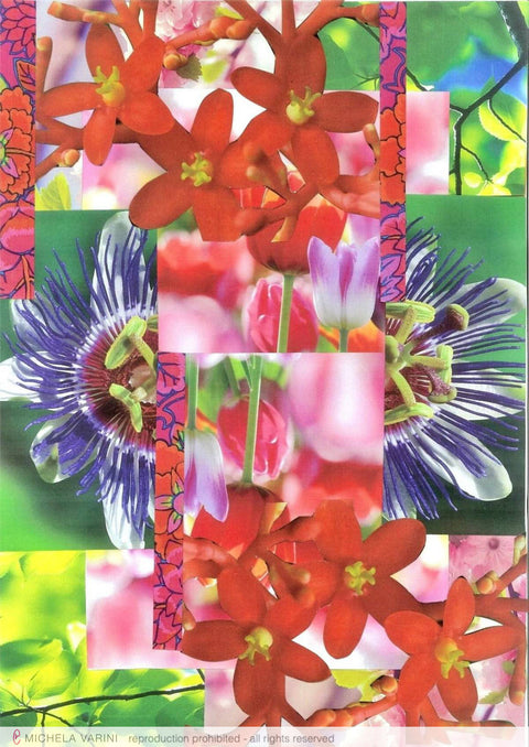 cartolina "Fiori 2018 | 3" Michela Varini