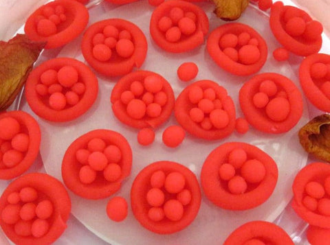 Venus Michela Varini