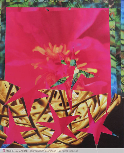 La Profondità della Stella Michela Varini